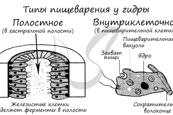 Kra43.at Вход на сайт главная страница