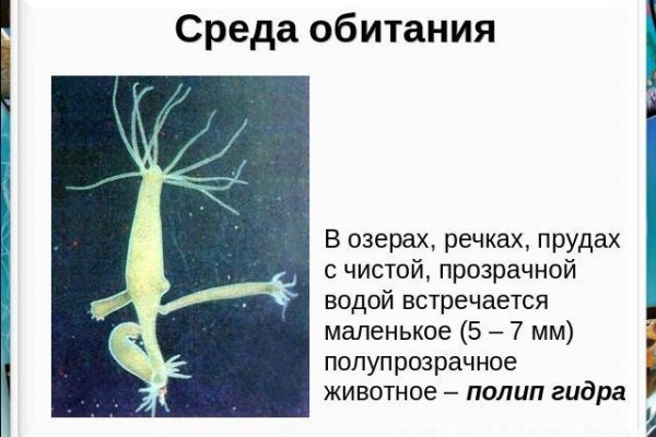 Маркет кракен маркетплейс