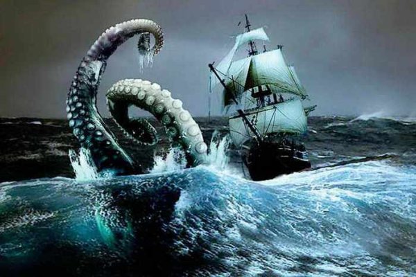 Kraken whitenet sliv php