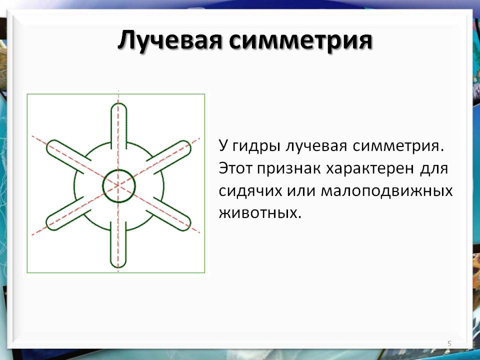 Что такое кракен тор