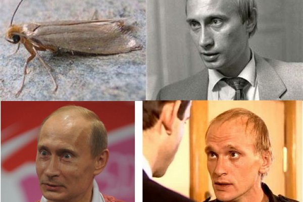 Скачать кракен тор