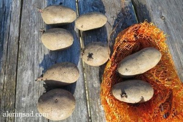 Можно ли восстановить аккаунт в кракен супернет