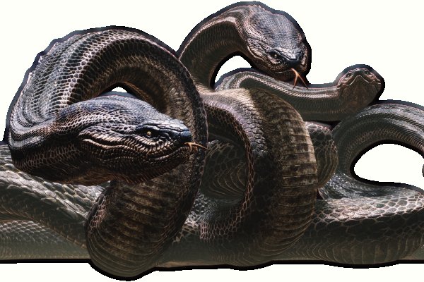 Kra44.cc
