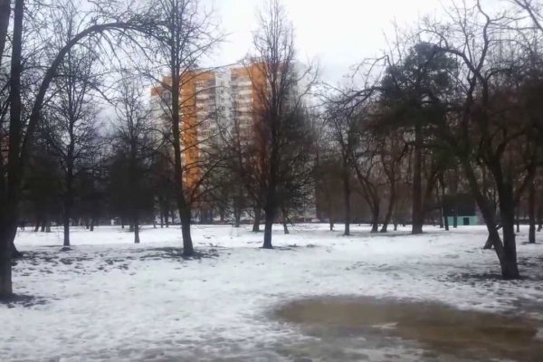 Как восстановить аккаунт кракен