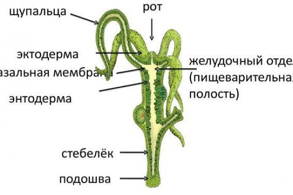 Кракен зеркало 2025