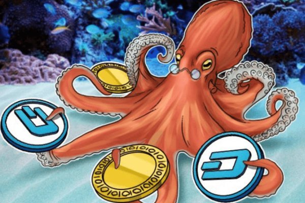 Kraken whitenet зеркала кракен обход