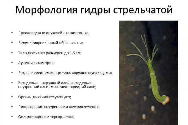 Кракен супернет маркет