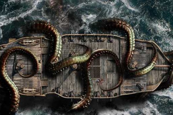 Kraken whitenet