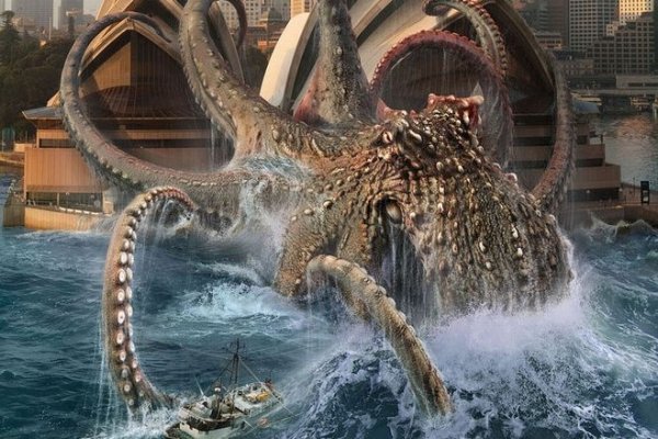 Kraken whitenet ссылка