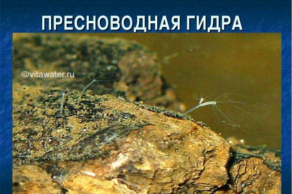 Кракен соль
