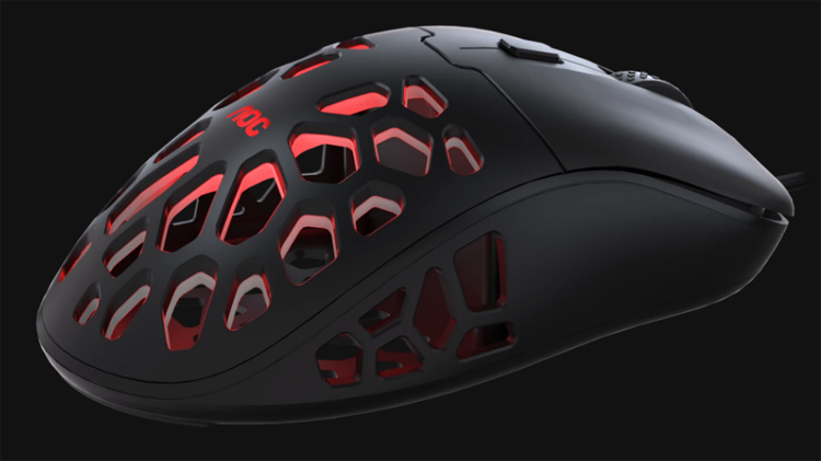 Kraken 19 at
